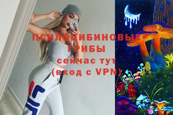 гидра Алексеевка